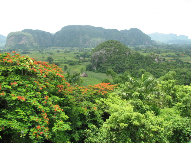 Vinales vallei.