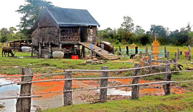 Wonen op het platteland