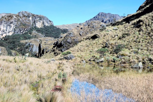 Parque Nacional Cajas een ongewoon landschap