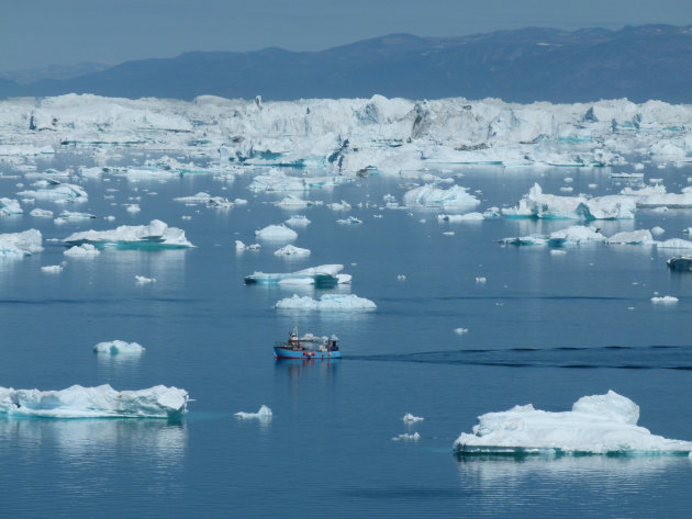 Icebergs all around