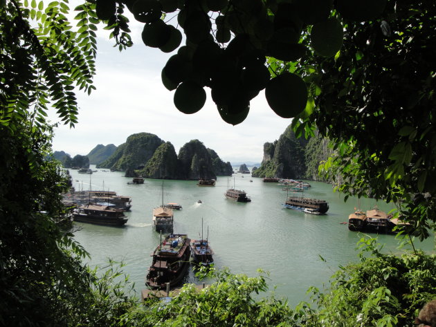 Halong bay