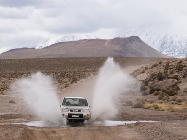 Gas op de lolly door Reserva Nacional Las Vicuñas