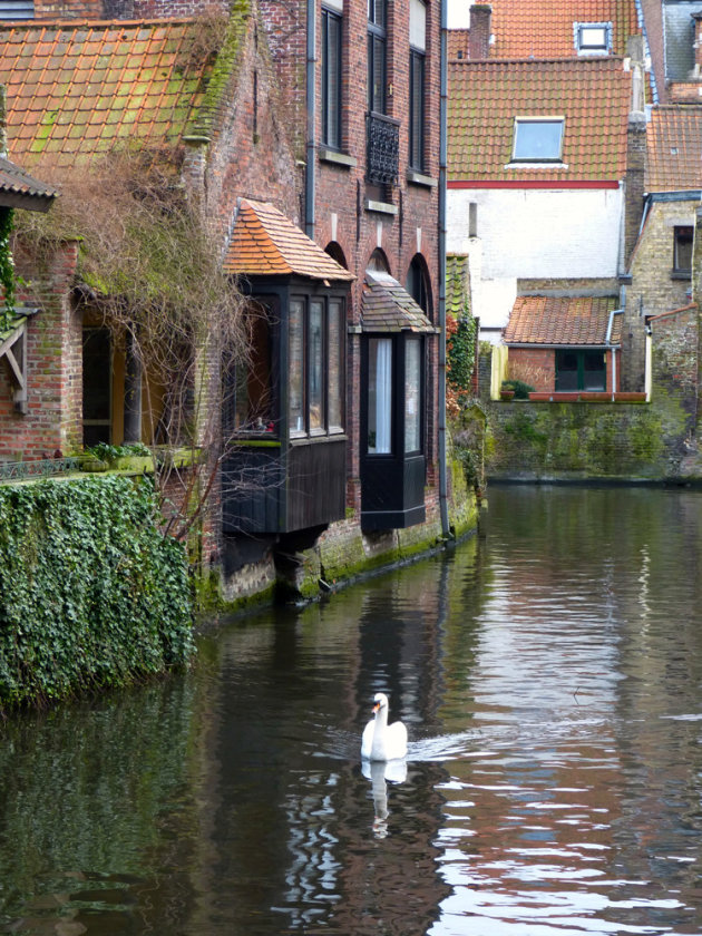 Wonen in Brugge