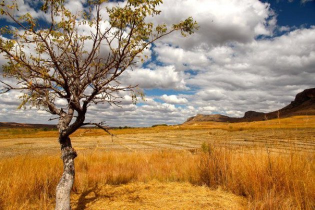 Landschap Parc National d'Isalo