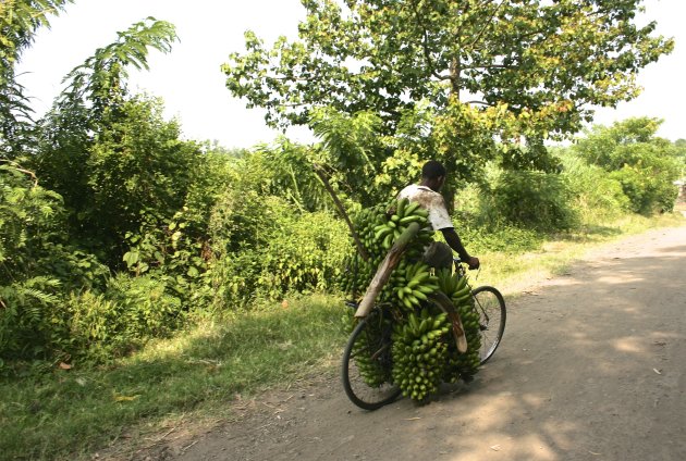 Op de fiets