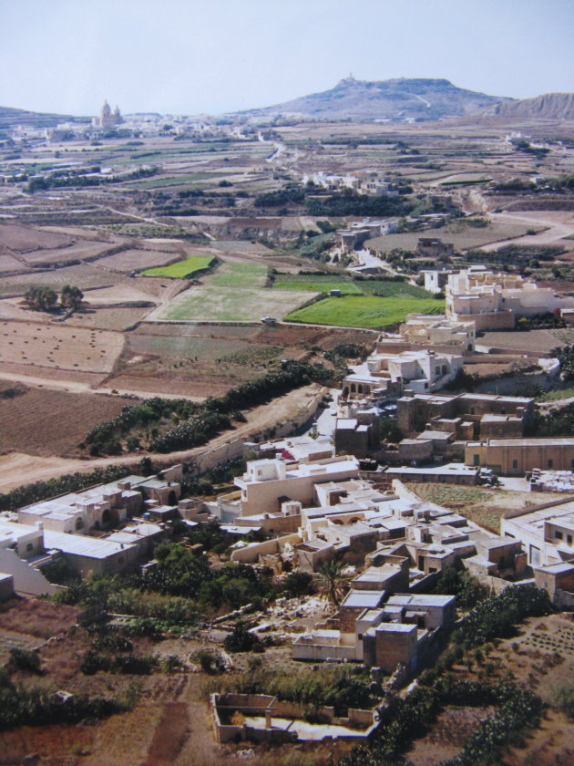 Gozo