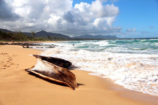 Oostkust eiland Kauai