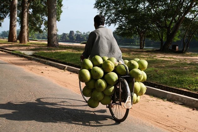 Bikes of Burden