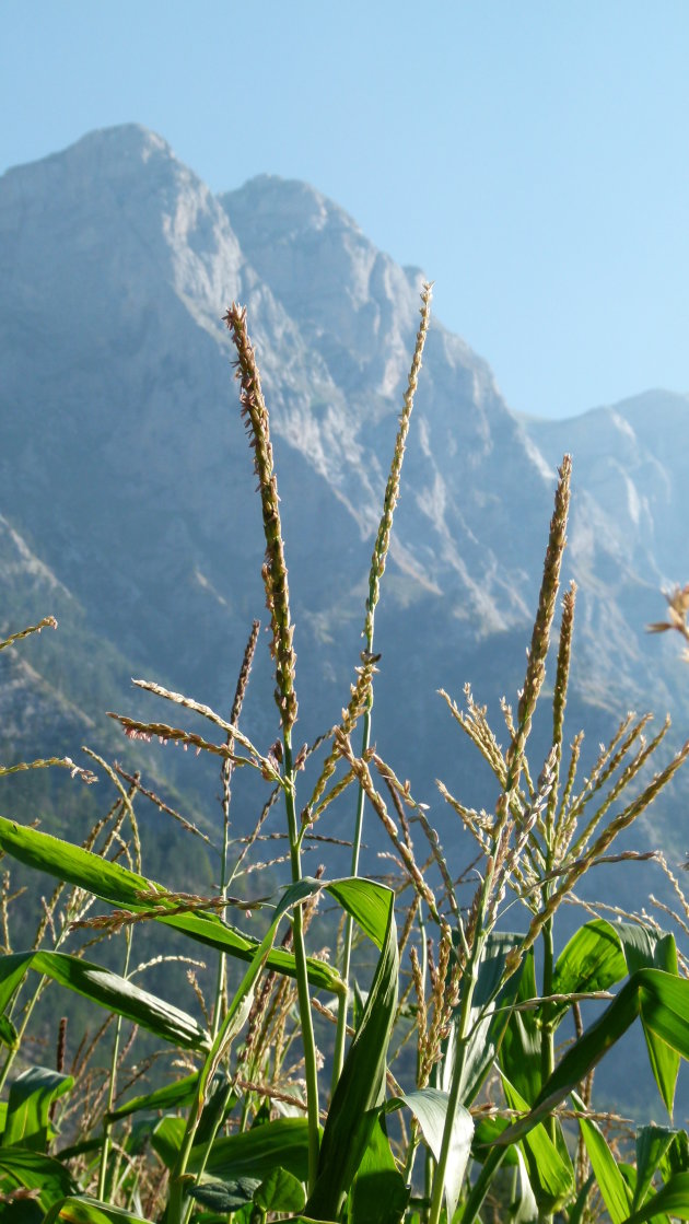 Uitzicht vanaf camping Valbona