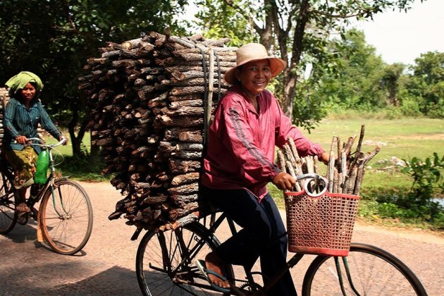 Bikes of Burden (2)