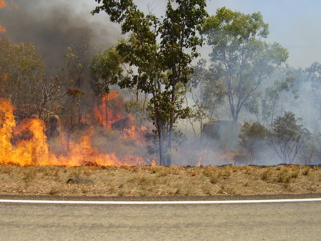 Bush fire