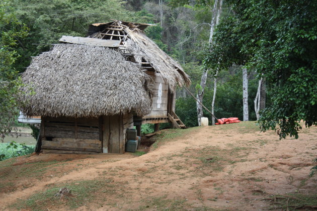 Embera indianen