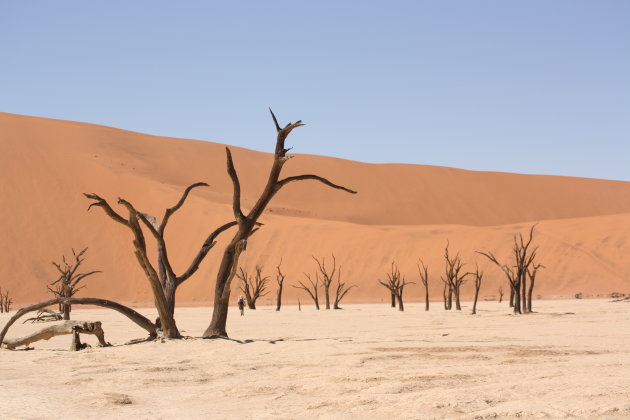 Deadvlei