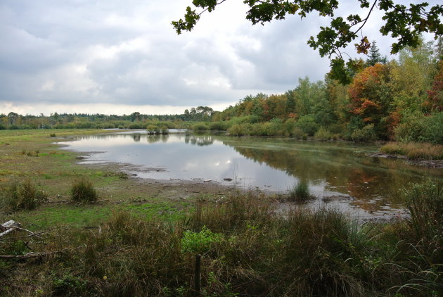 Meertje in Mastbos