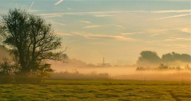 Mist in september.