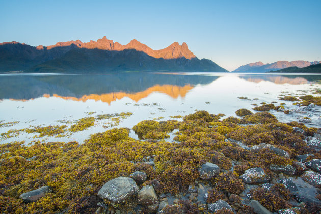 Steinlandsfjord