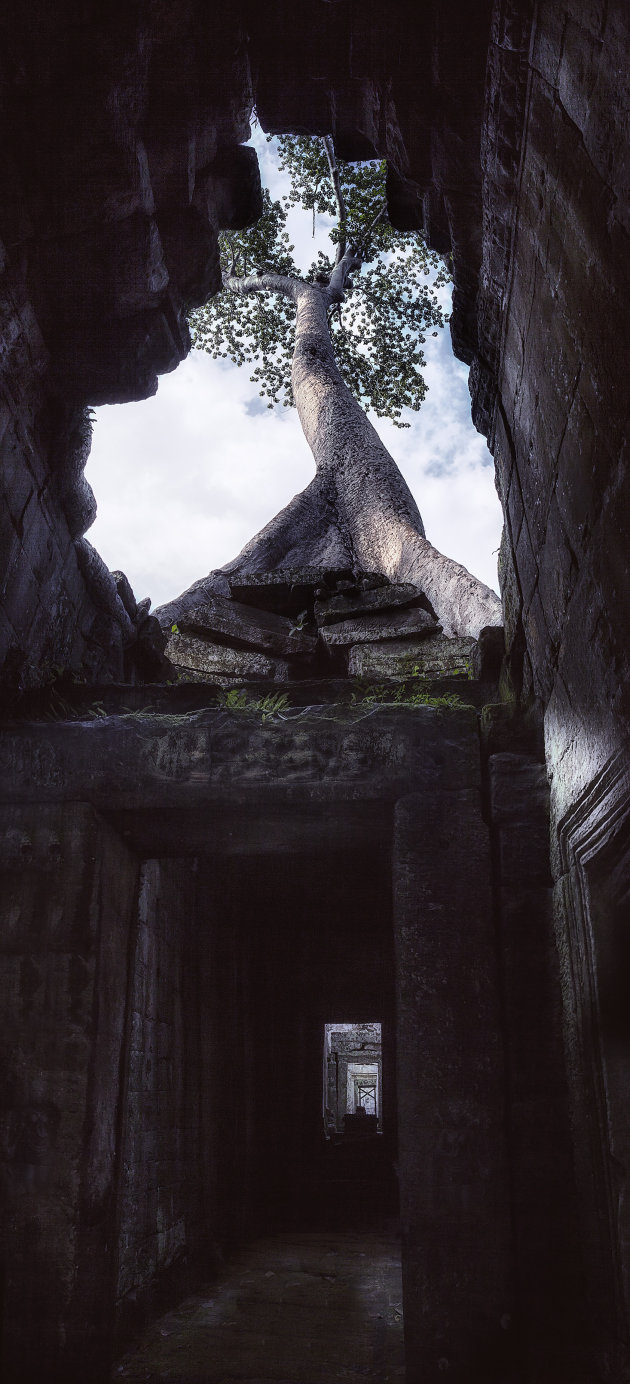 Angkor Wat:  Prasat Preah Khan tempel