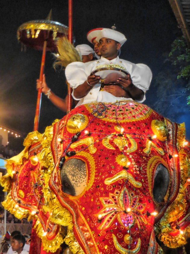 Jasmijn - Duruthu Perahera.