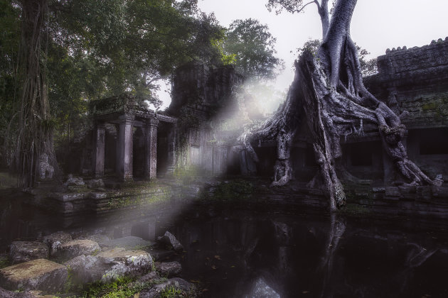 Angkor Wat: Prasat Preah Khan tempel.