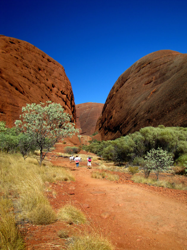 Kata Tjuta, ook wel Mount Olga genoemd