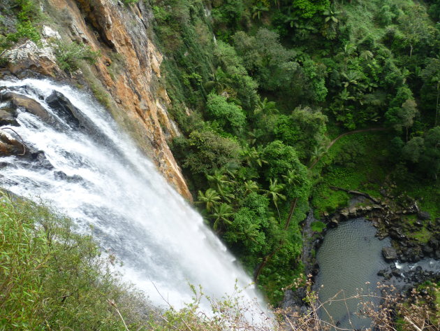 Purlingbrook falls in de regio Gold coast