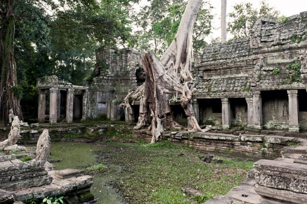 Preah Kahn - Angkor