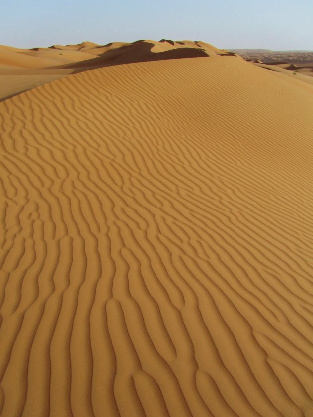 zandduinen