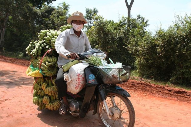 Bikes of Burden (7)