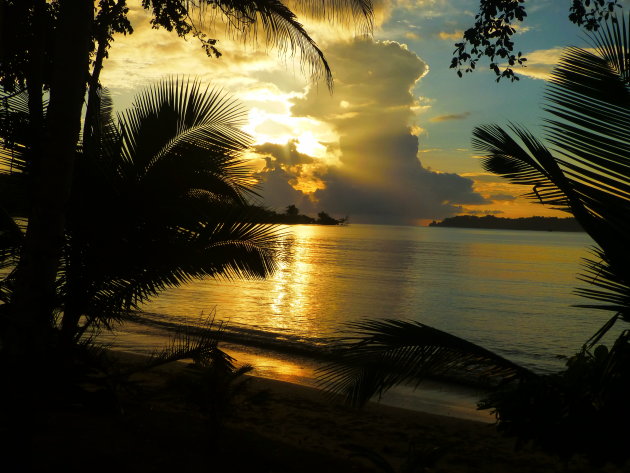 Alle kleuren Geel  Panama Bocas Del Toro