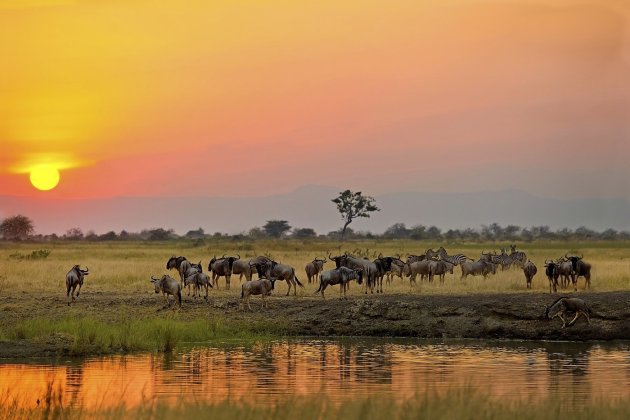 sunset tanzania