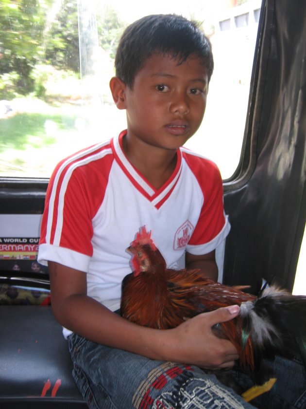 Jongetje met haan in de bus