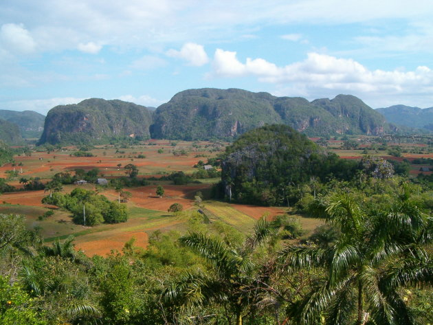 Vinales