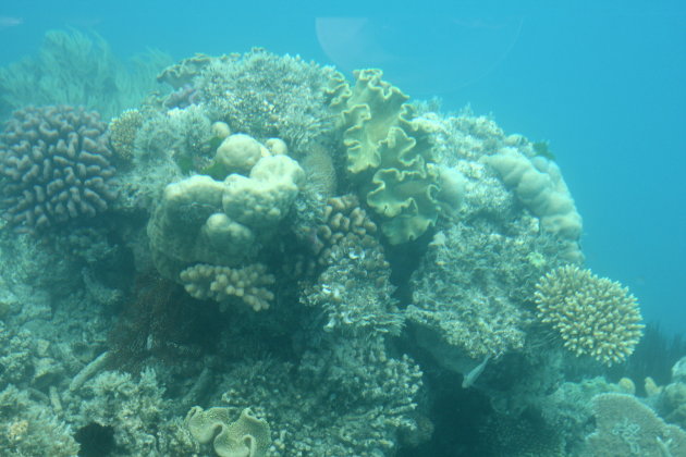 Great Barrier Reef