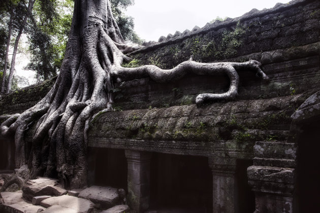 Ta Phrom (de Jungle Tempel)