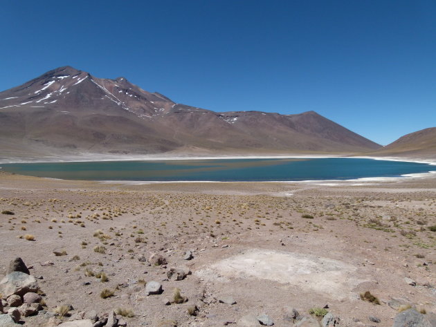 Laguna Miscanti