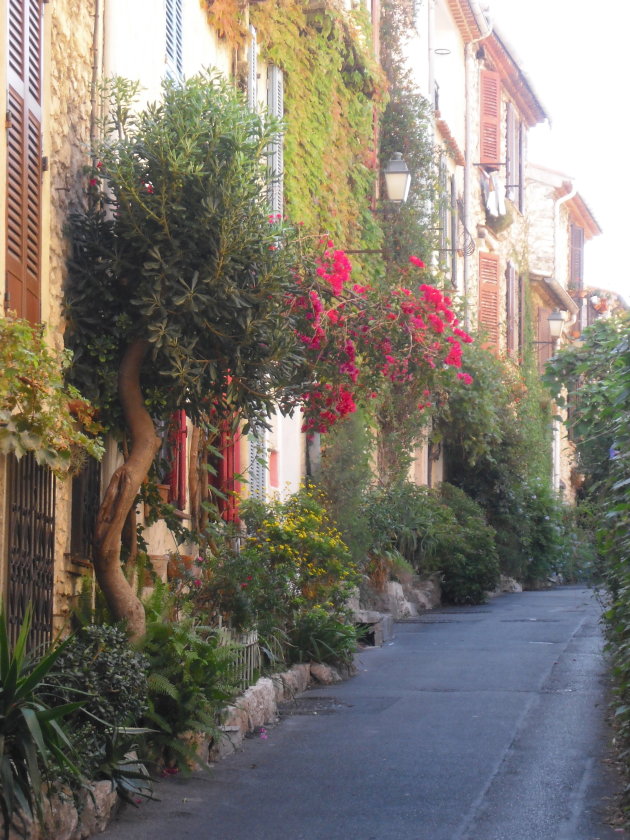 Bloemrijk straatje in Antibes