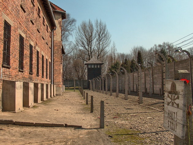 Een enkele roos versus de holocaust