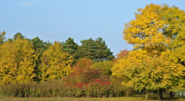 Herfst