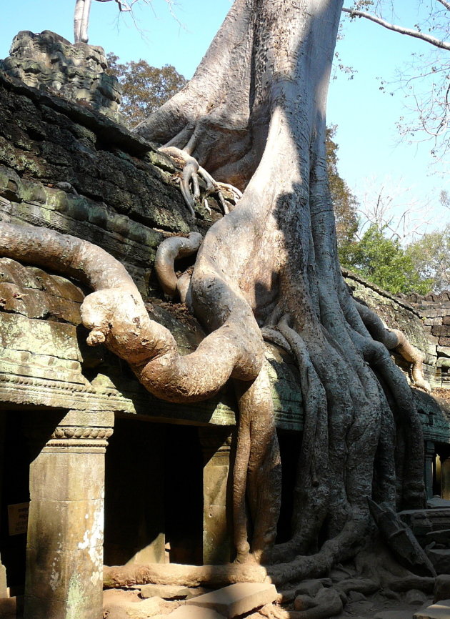 Ta Prohm .