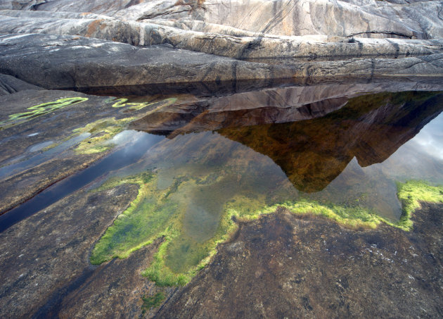 Weerspiegeling van rotsen in poeltje met zeewier