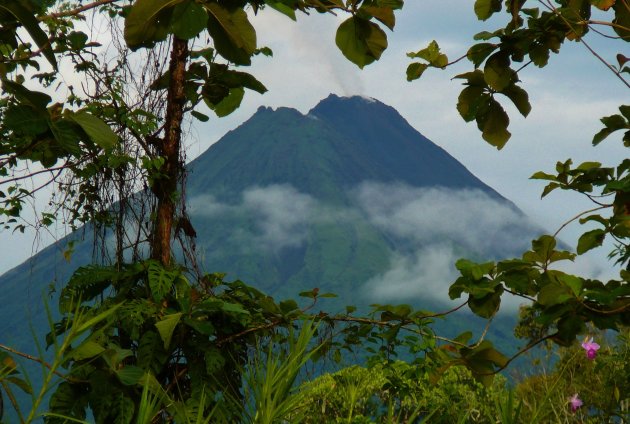 EL ARENAL