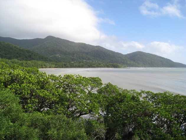 Cape Tribulation