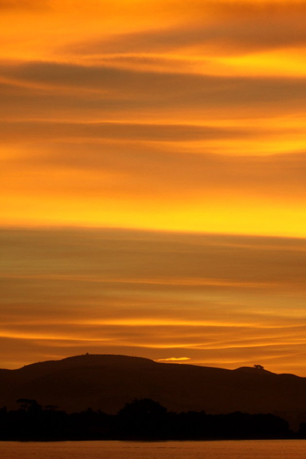 Oranje boven