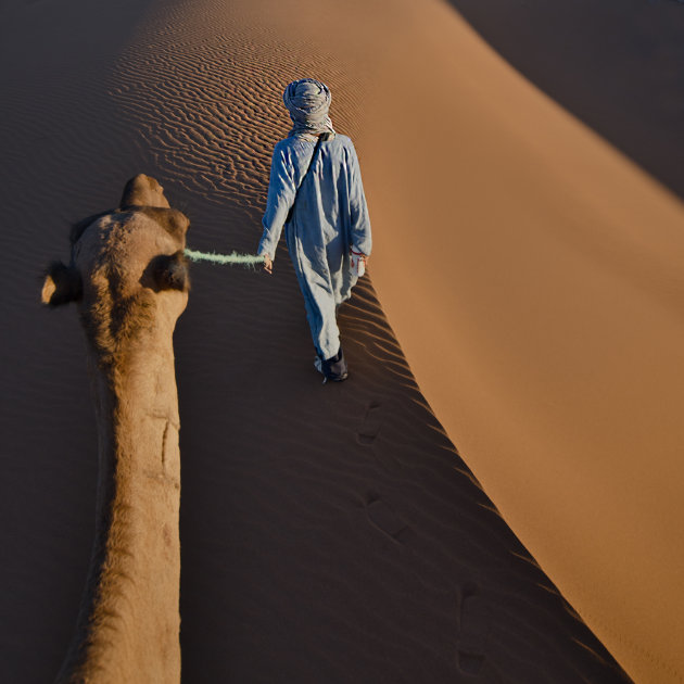 Camelride