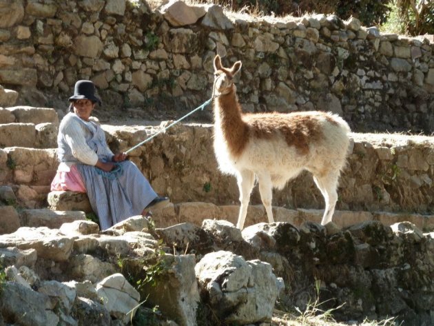 Vrouw met lama