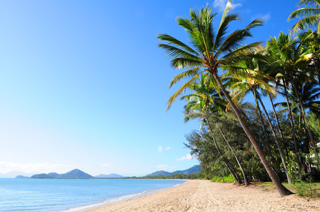 Palm Cove