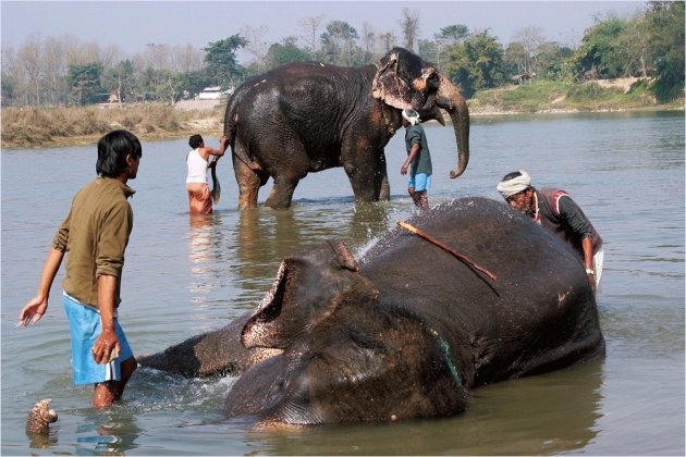 Rapti rivier