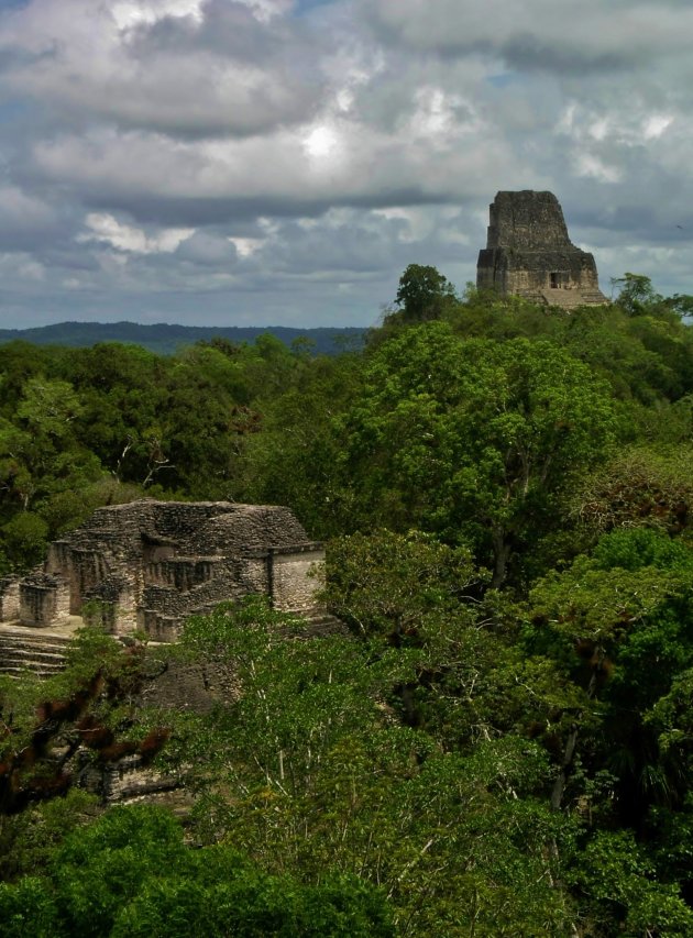 Tikal