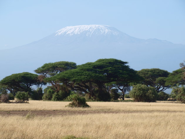 kilimanjaro