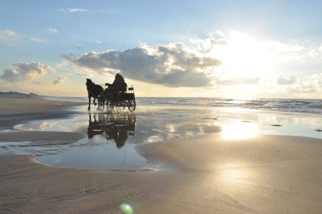 Paard & wagen of geestverschijning